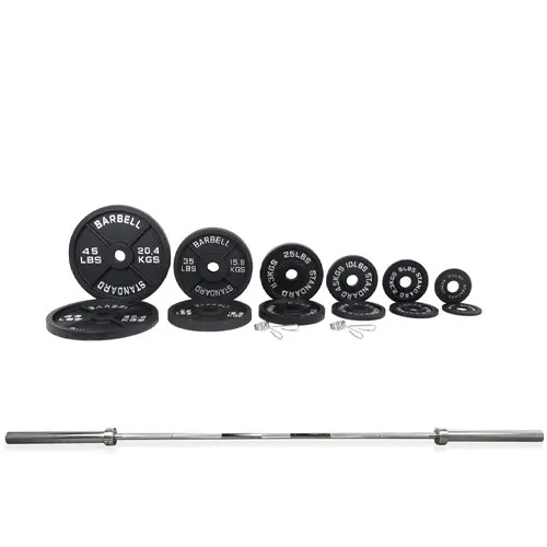300 lb Cast Iron Olympic Plate + Barbell