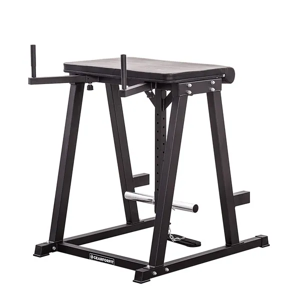 GF Reverse Hyperextension