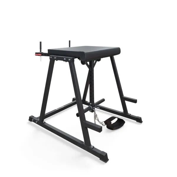 GF Reverse Hyperextension